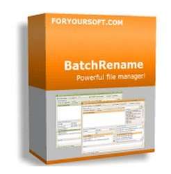 BatchRename Pro 4.511.1 Full indir